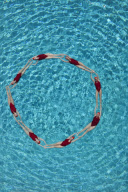 Synchronised Swimming