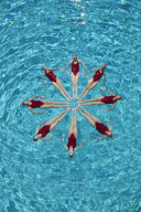 Synchronised Swimming