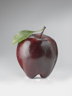 Still Life Food