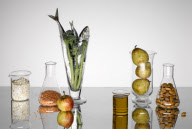 Still Life Food