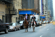 Harrison Ford and David Letterman ride horses down a midtown street in NYC