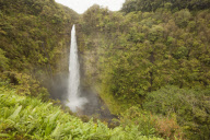 Travelling Hawaii