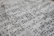 Musician at Home