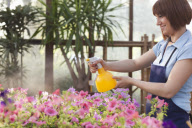 Florist