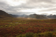 Arctic circle