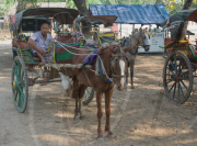 Burma - Apr 2011