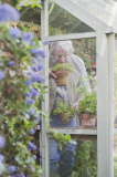 In The Garden