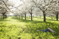 Spring Light