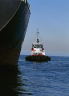 Shipping & Cargo
