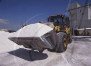 Shipping & Cargo