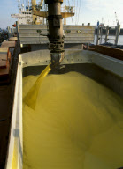 Shipping & Cargo