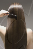 Hair Style