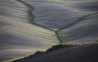 Textured Landscape
