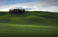 Textured Landscape
