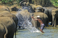 Sri Lanka - 1994