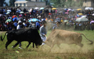 CHINA-SICHUAN-TORCH FESTIVAL-BULLFIGHT (CN)