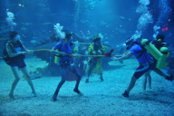CHINA-TIANJIN-UNDERWATER SPORTS MEET (CN)