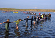 The biggest swan round up in the UK at the Fleet nature Reserve in Dorset, Britain - 23 Jul 2011