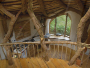 A house fit for a Hobbit: The homeowners that have brought the silver screen to life