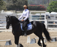 EXCLUSIVE Leona Lewis horseback riding with no helmet