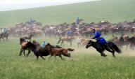 #CHINA-INNER MONGOLIA-HORSE FESTIVAL (CN)