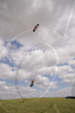 Extrem Kiter Marcus Garwood