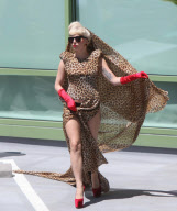 Lady Gaga wows in  leopard print at radio station