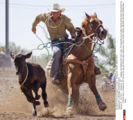 WY: CHEYENNE FRONTIER DAYS