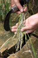 #CHINA-GUANGXI-BAISE-DROUGHT (CN)