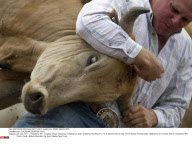 WY: CHEYENNE FRONTIER DAYS