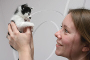Kitler - das Kätzchen mit dem "Hitlerbart"
