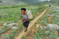 CHINA-GUIZHOU-DROUGHT (CN)