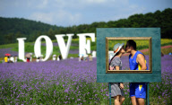#CHINA-LIAONING-SHENYANG-LAVENDER PARK (CN)