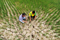 CHINA-HUNAN-DROUGHT (CN)