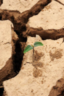CHINA-HUNAN-DROUGHT (CN)
