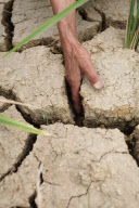 #CHINA-GUIZHOU-DROUGHT (CN)