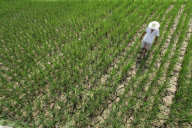#CHINA-GUIZHOU-DROUGHT (CN)