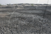 Save the Children: Kenya Drought