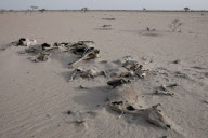 Save the Children: Kenya Drought