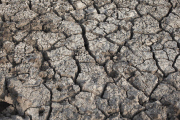 Save the Children: Kenya Drought