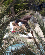 Heidi Klum enjoy a day at the swimming pool in sunny Ibiza