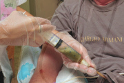 Medicinal marijuana administered to residents of the Hadarim nursing home in Naan kibbutz, Israel - 17 Jul 2011