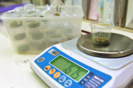 Medicinal marijuana administered to residents of the Hadarim nursing home in Naan kibbutz, Israel - 17 Jul 2011