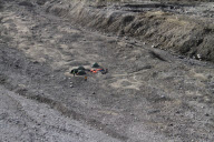 British teenager mauled to death by polar bear, Svalbard, Norway - 05 Aug 2011