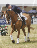 ZARA PHILLIPS RETIRES TOYTOWN