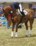 ZARA PHILLIPS RETIRES TOYTOWN
