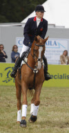 ZARA PHILLIPS RETIRES TOYTOWN