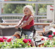 Gwen Stefani and family have a fun day at Underwood Family Farms - Part 2 