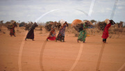 KENYA-DADAAB-REFUGEE-FIREWOOD