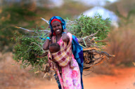KENYA-DADAAB-REFUGEE-FIREWOOD